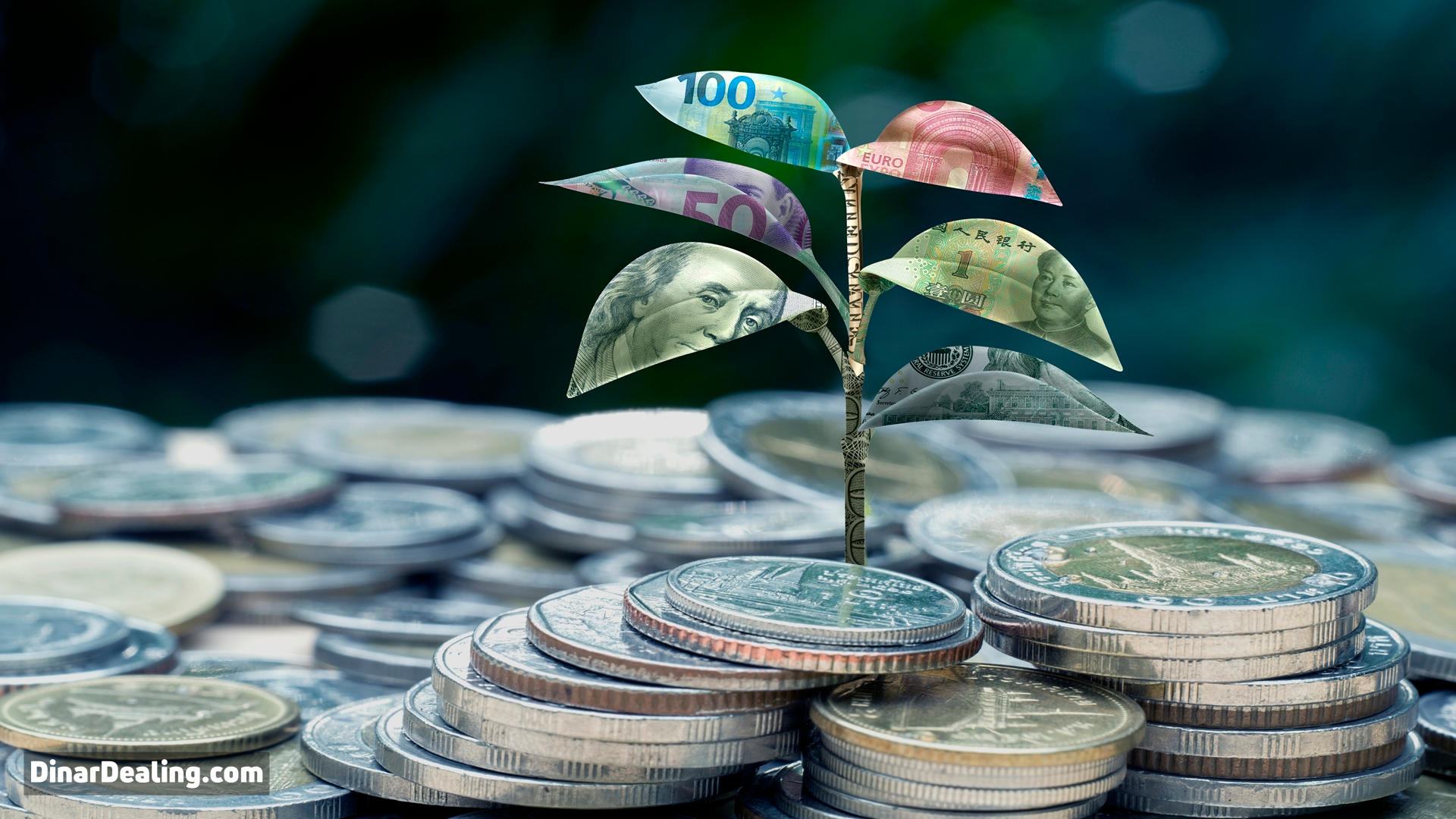 6 Compelling Reasons to Buy IQD Before Its Value Skyrockets