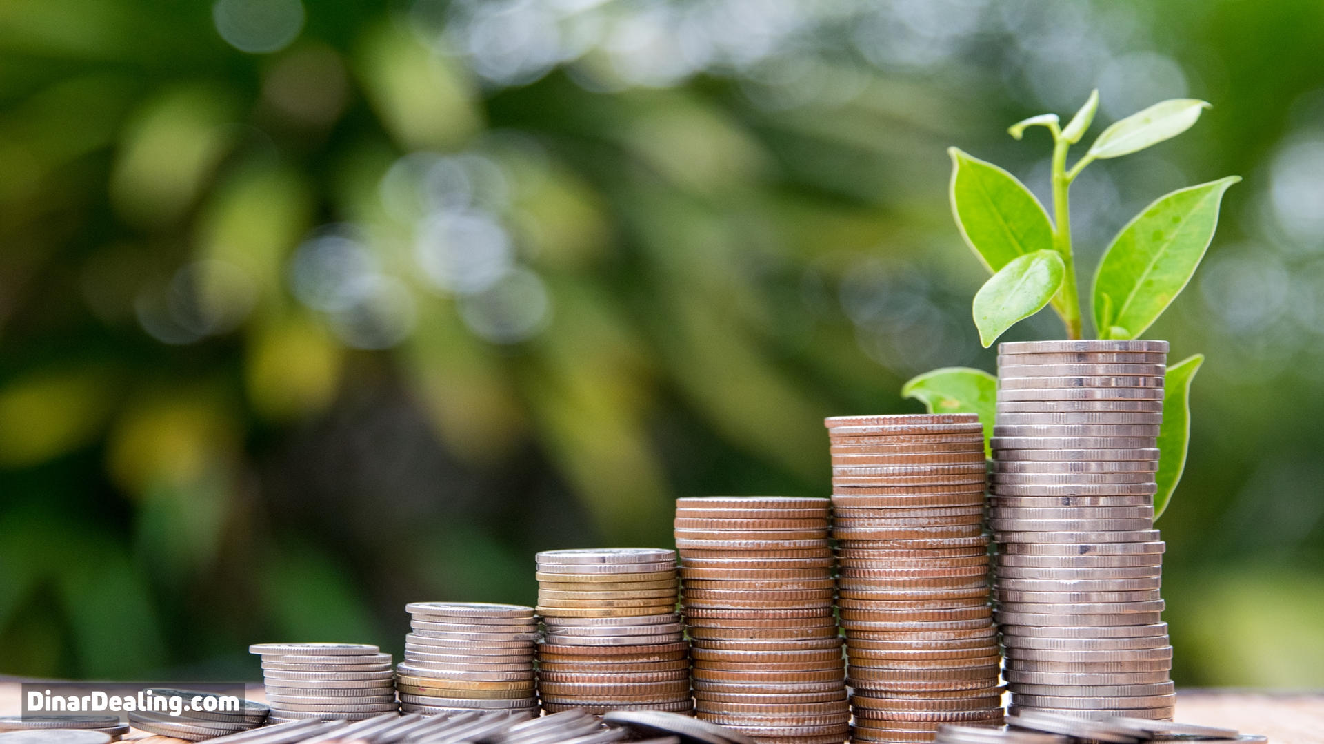 6 Surprising Ways Buying IQD Can Secure Your Financial Freedom