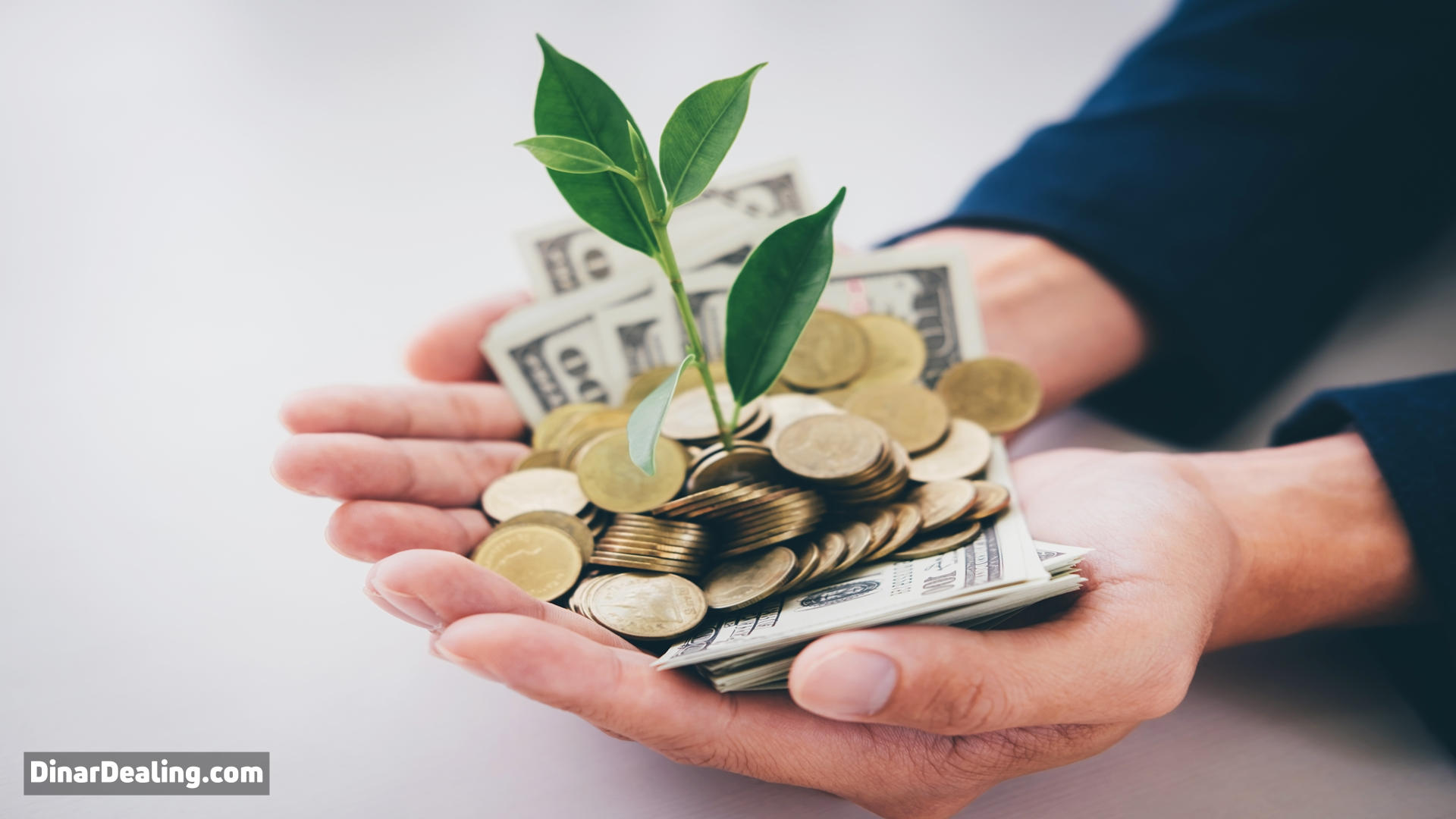 12 Game-Changing Facts About Iraqi Dinar You Can’t Afford to Ignore