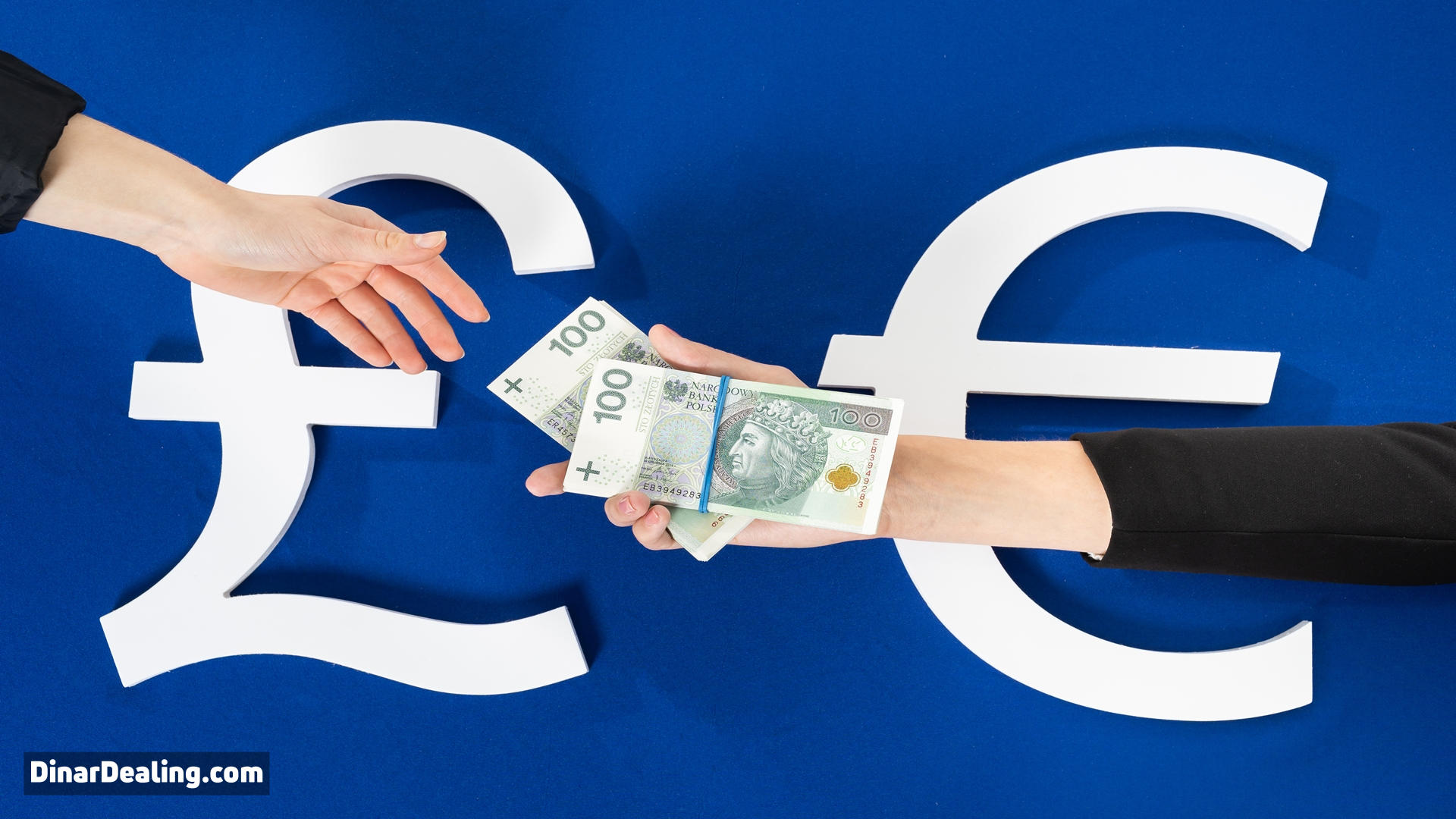 7 Reasons Why You Should Only Trust DinarDealing.com for Buying Iraqi Dinar